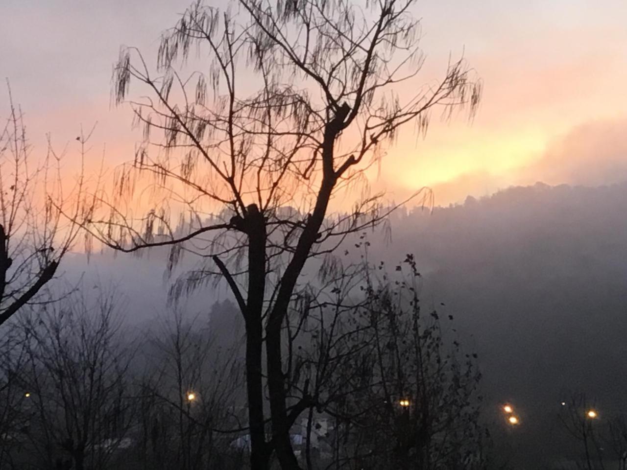 Villa Del Sasso 萨索马可尼 外观 照片